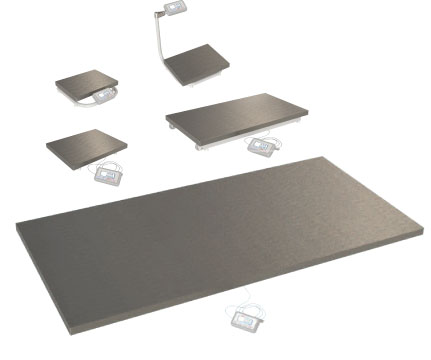 Laboratory and Industrial Scales, Class II mounted in their enclosures scale class III.